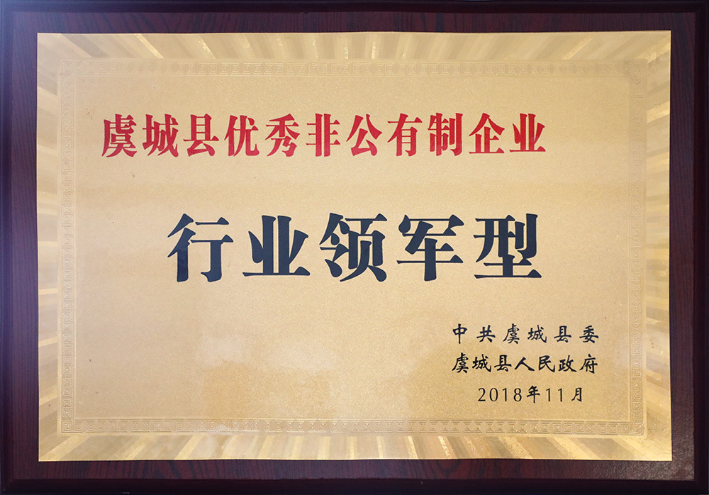 行业领军型企业